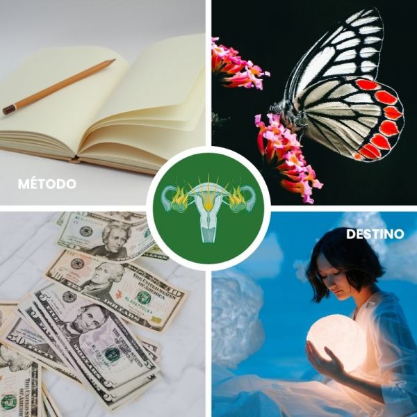 Método Destino:® terapia de autoconocimiento y patrones emocionales (3 sesiones 1:1)