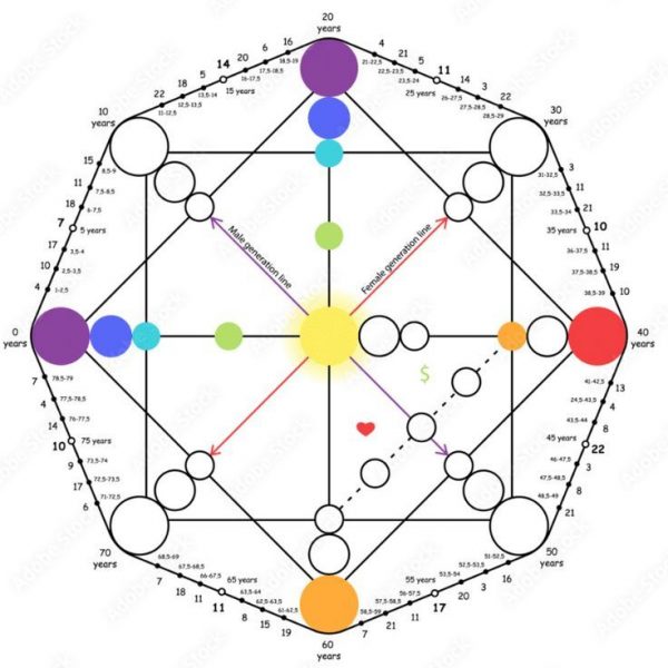 Lectura de chakras y matriz del destino: cuida tu energía y descubre tu destino (90min)